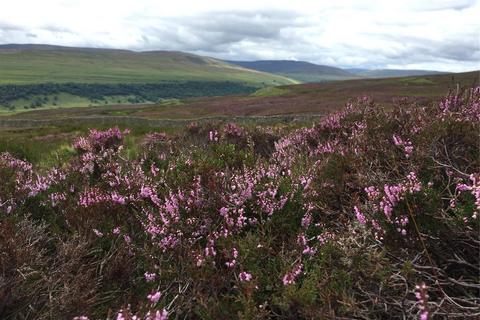 undefined, Land At Hawkswick Moor, Hawkswick, Skipton, North Yorkshire, BD23
