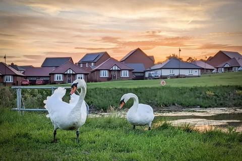 3 bedroom detached bungalow for sale, Swallow Road, Ross-On-Wye