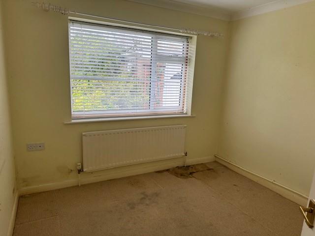 6 T202502281328.jpg