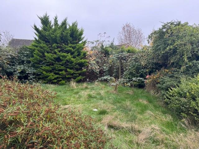 9 T202502281328.jpg