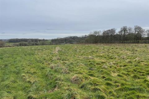 Land to rent, Holcombe Rogus