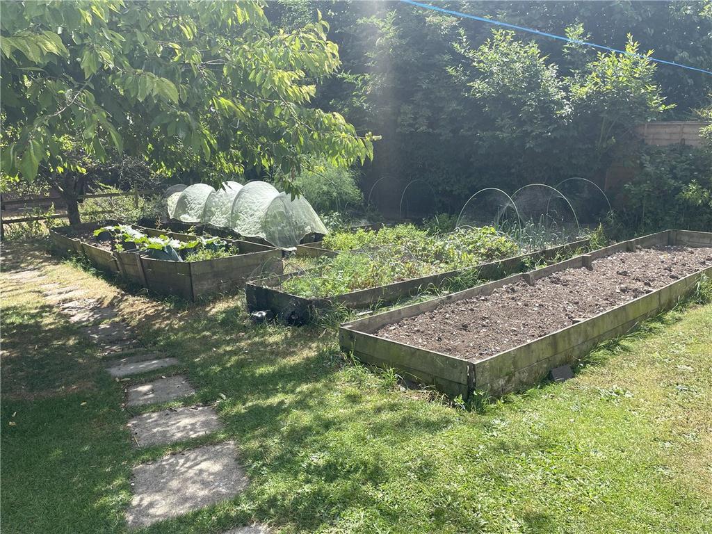 Veg Patch