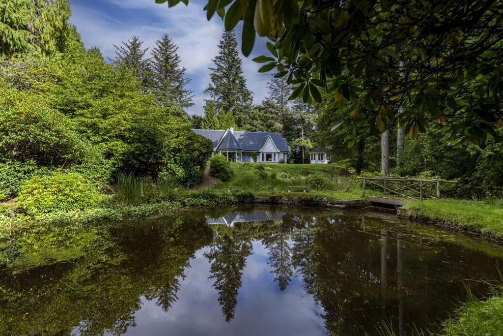 Pond View