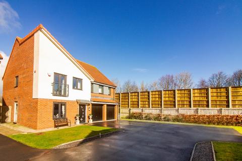 undefined, Harbottle Grove, Holystone