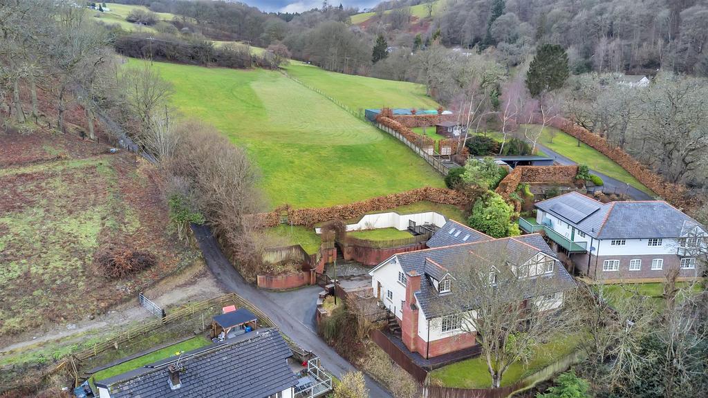 DJI 0219.jpg