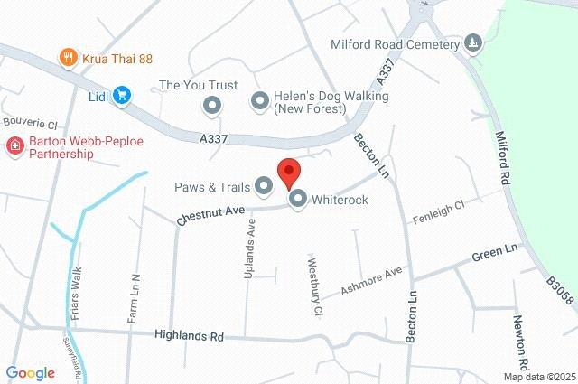 Google Maps Image