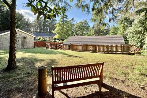 4 bedroom detached bungalow for sale, Egmont Close, Avon Castle, BH24 2DJ