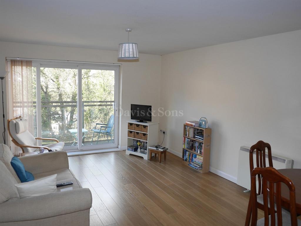 Lounge/Dining Room/Kitchen