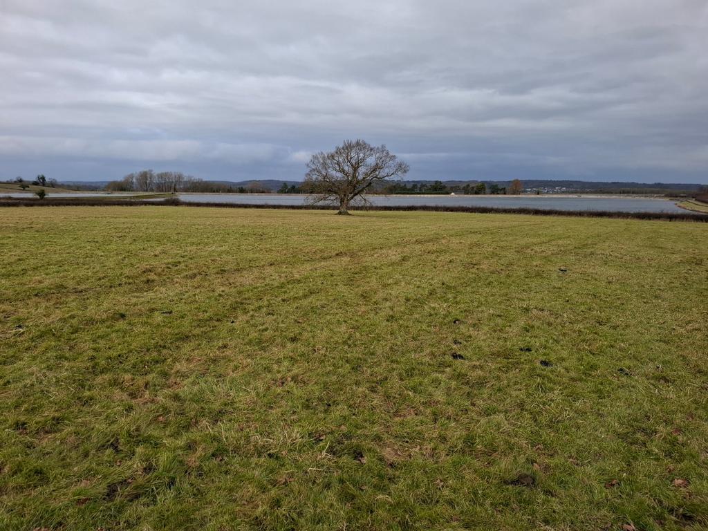 Lot 2