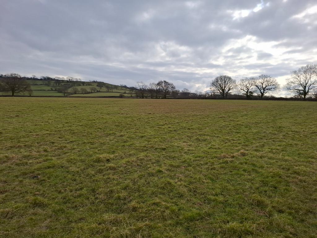Lot 2