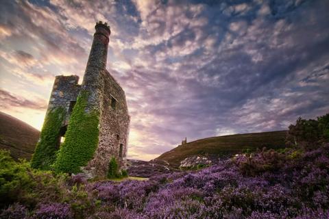 Land for sale, Wheal Ellen Mine, Truro, TR4