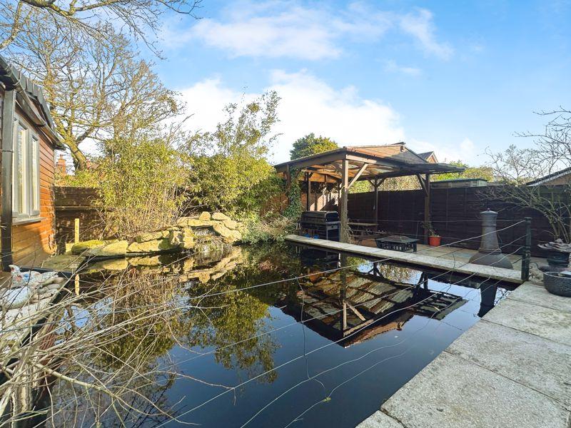 Pond