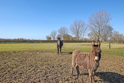 3 bedroom equestrian property for sale, Ingatestone Road, Highwood, CM1