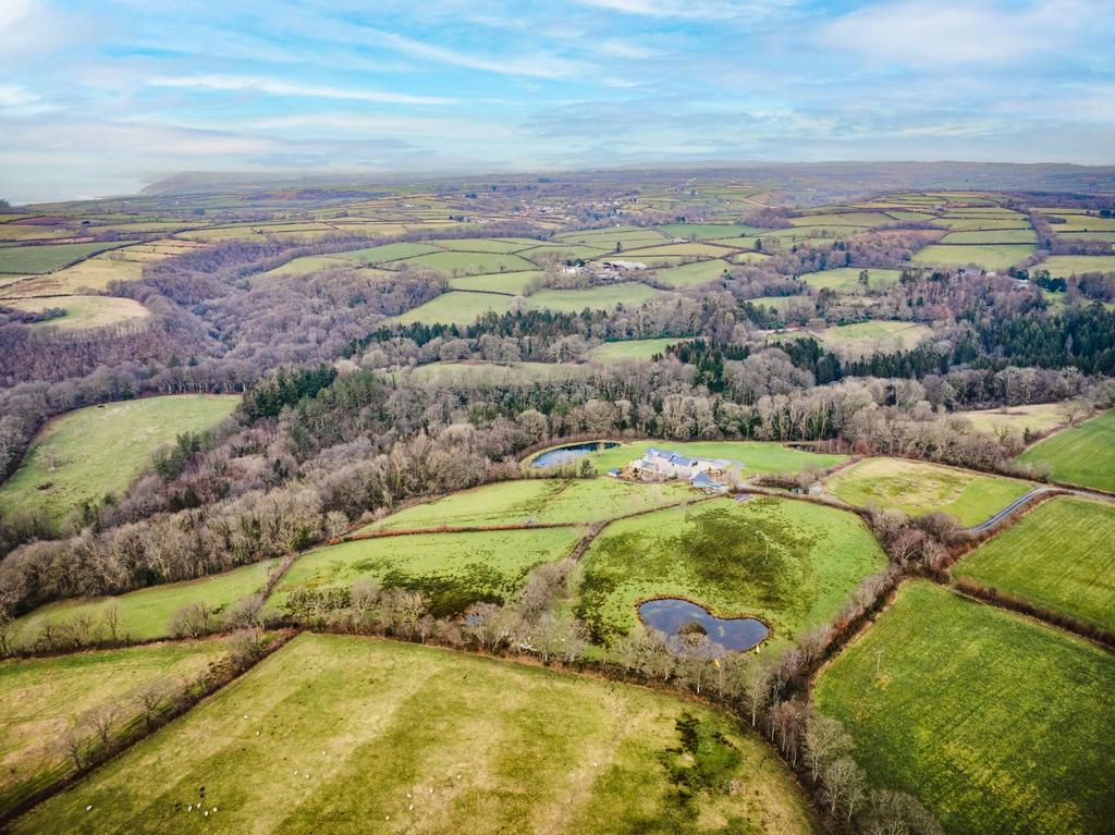The Land