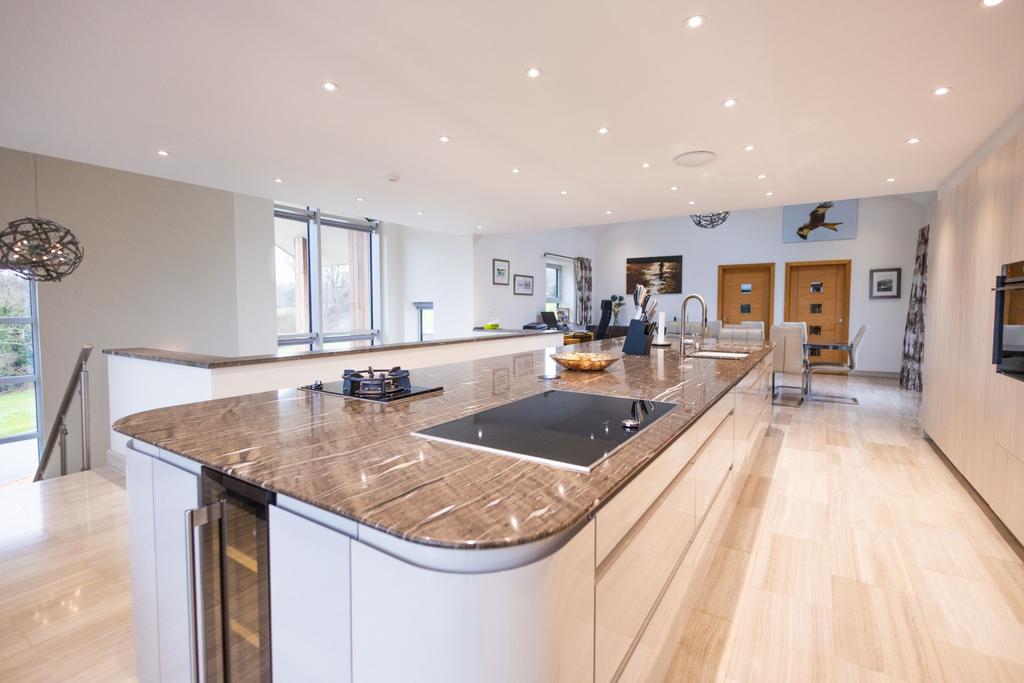 The Kitchen Area