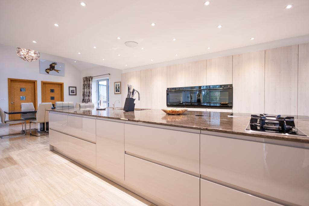 The Kitchen Area