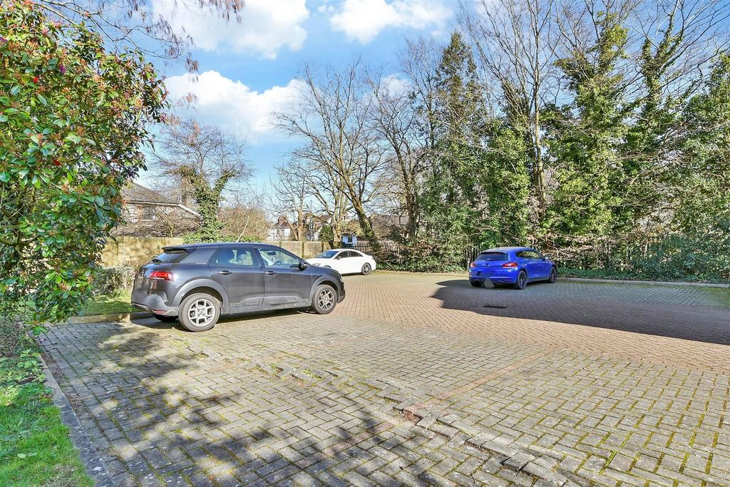 Driveway/Parking