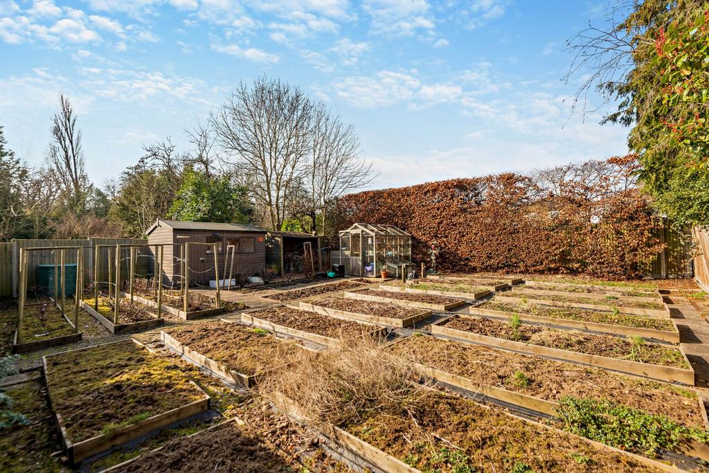 Kitchen Garden