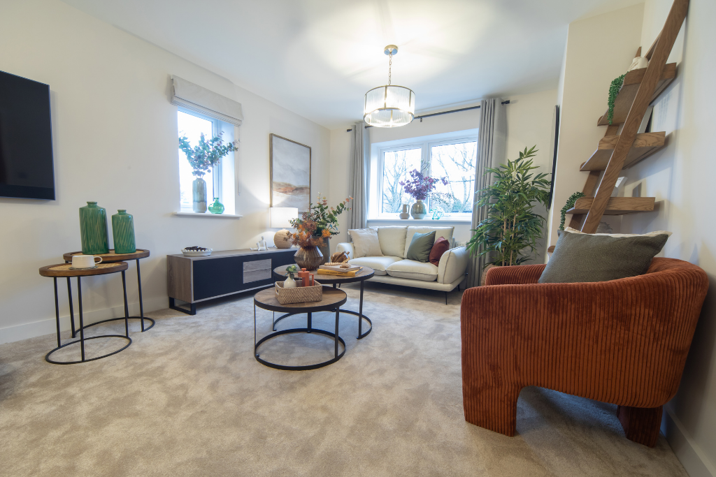 Show Home Living Room