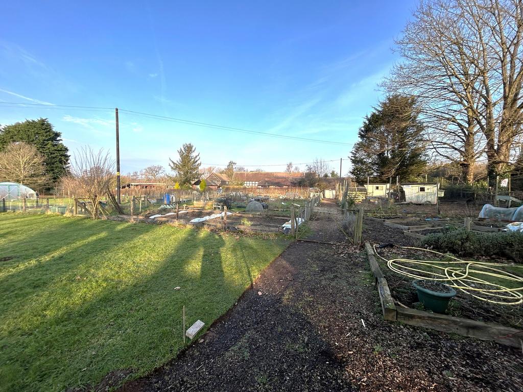 Allotment patch