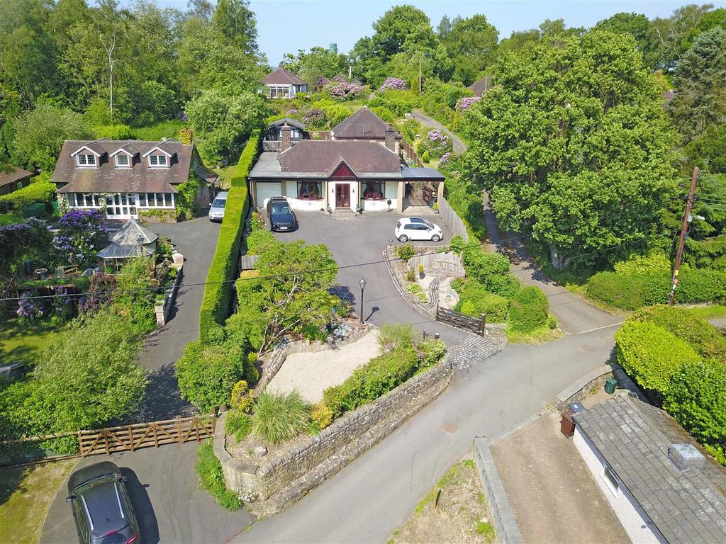 Dji 0797.jpg
