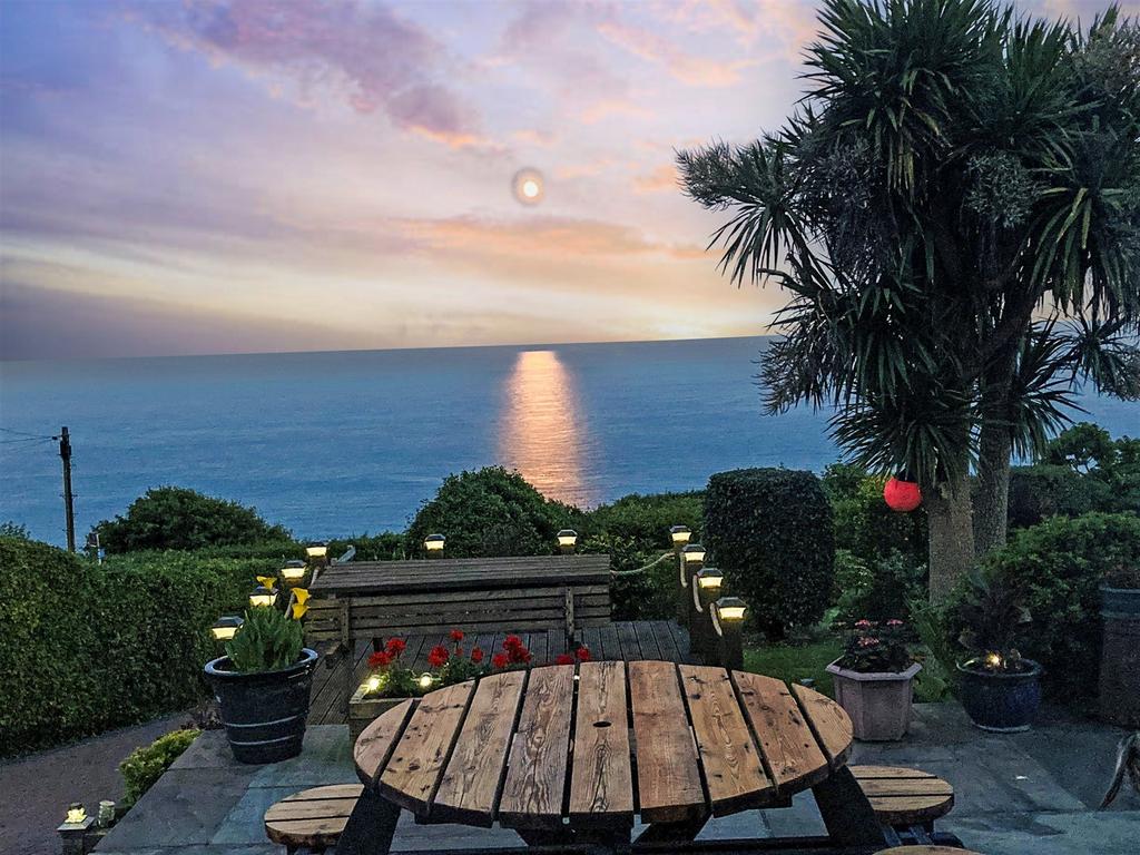Moonlight View*
