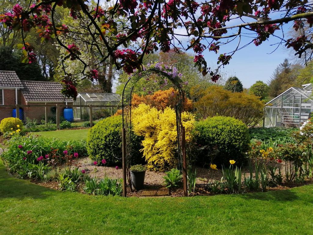 Rear garden