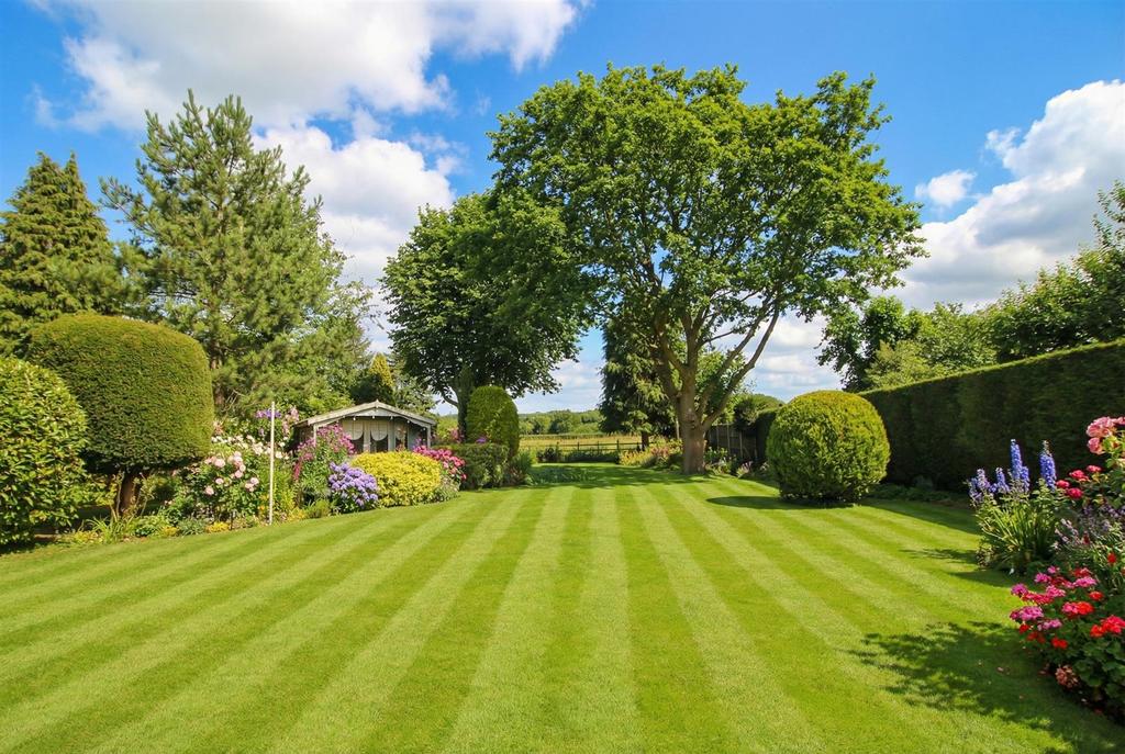 Generated custom 1767616754.jpg