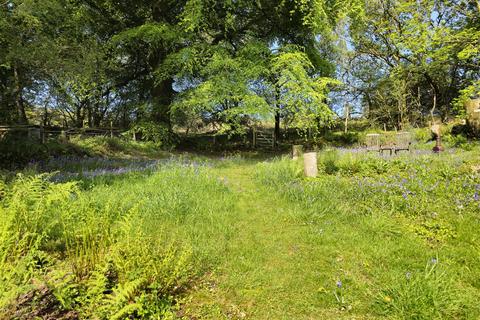 undefined, Downgate, Liskeard