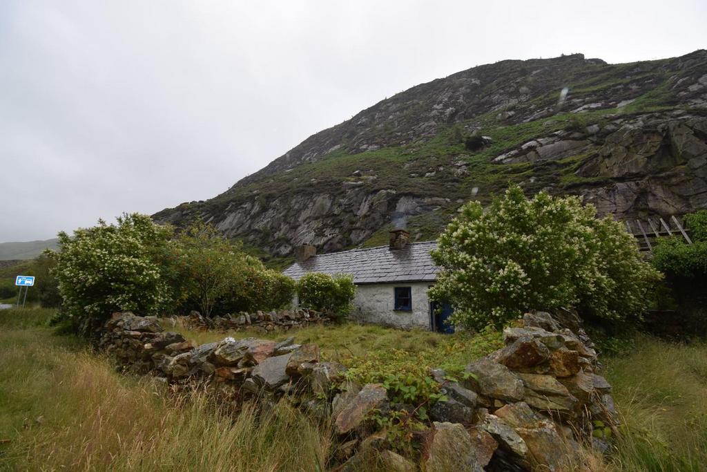 Roadside View.JPG