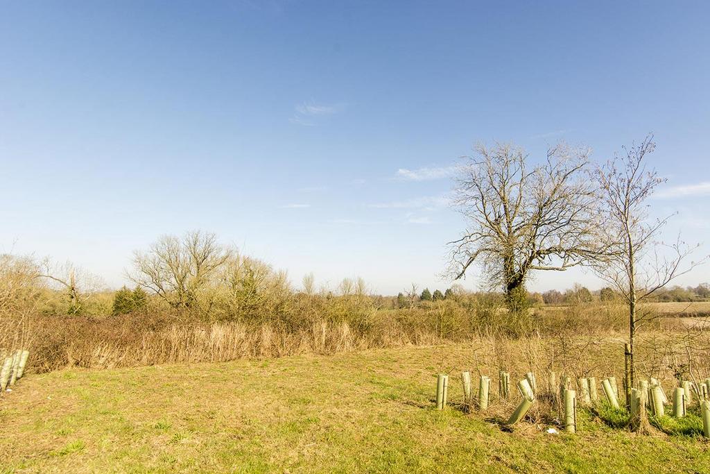 Field Views