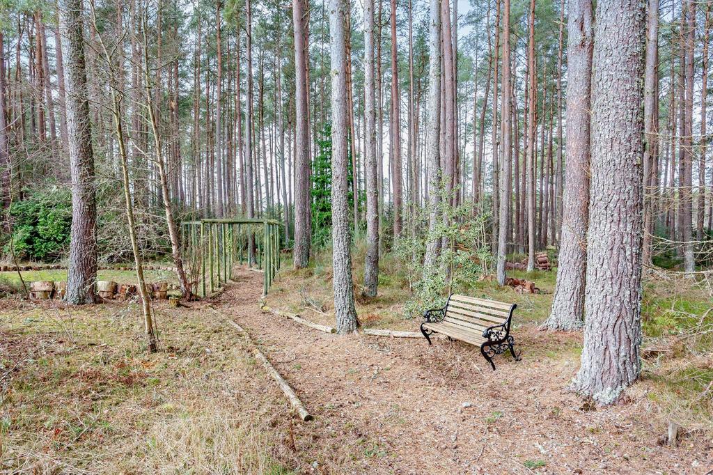 Tullich Pines
