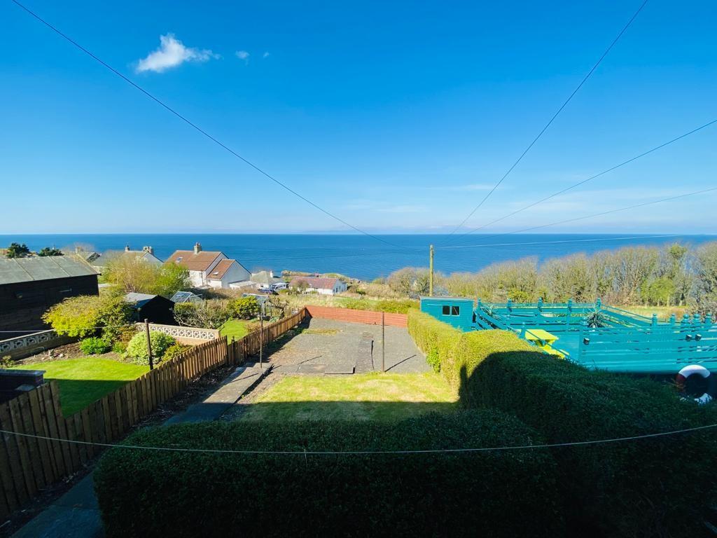 Back Garden