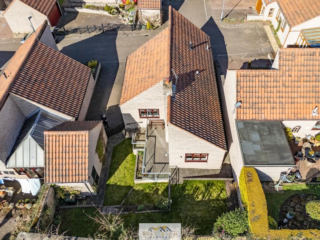 Aerial 7