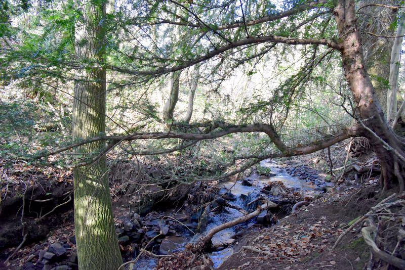 Stream