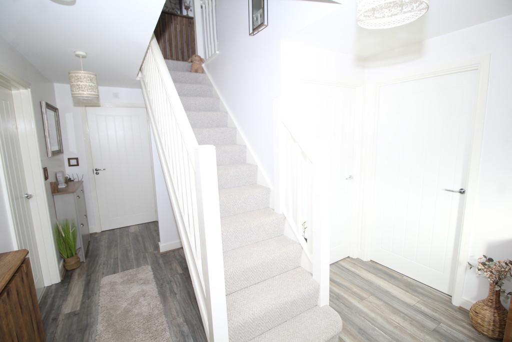 Img 9629