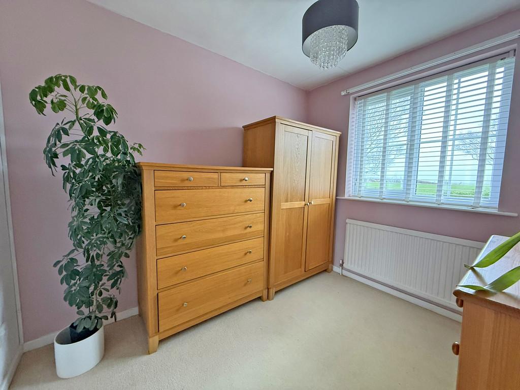 Img 6867