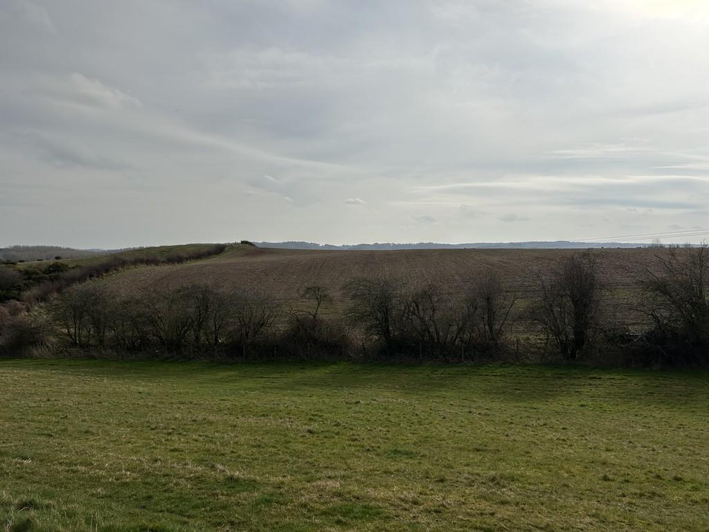 Img 7341