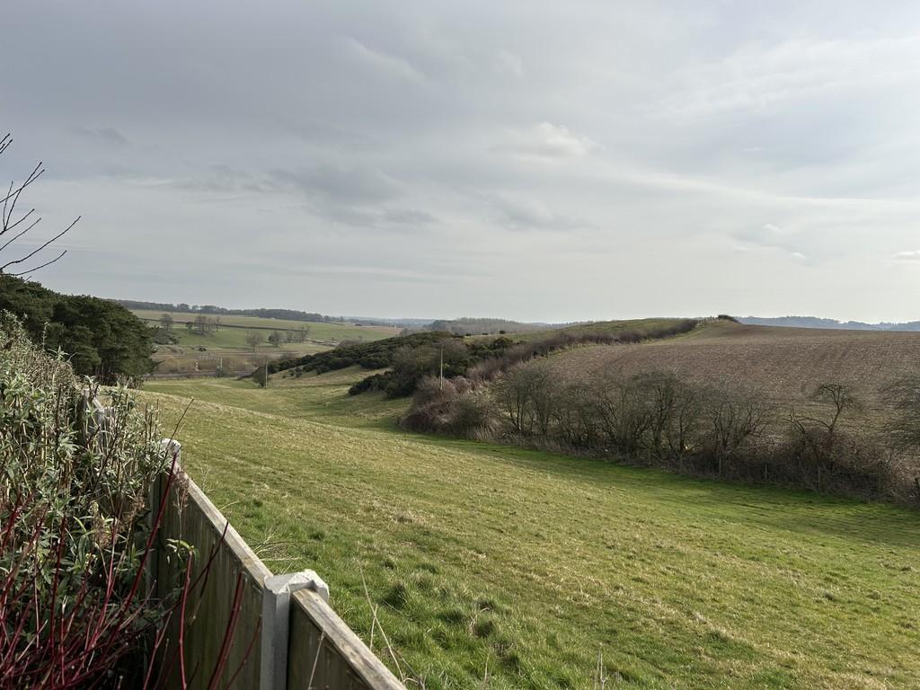 Img 7340