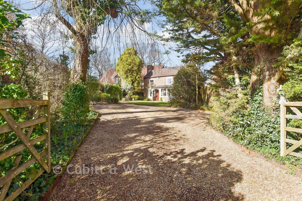 Driveway/Parking