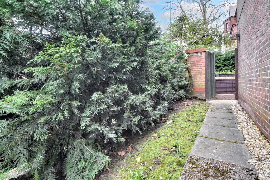 Side Garden .jpeg