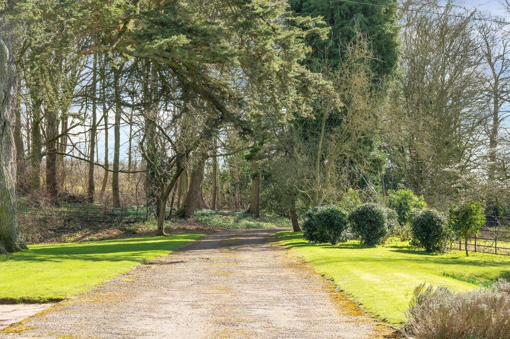Grounds