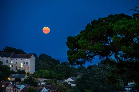 undefined, Buckeridge Road, Teignmouth, TQ14
