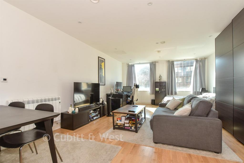 Lounge/Kitchen/Bedroom