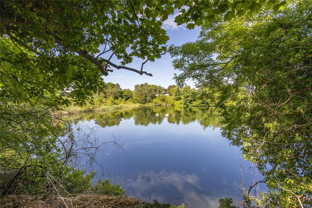 Pond