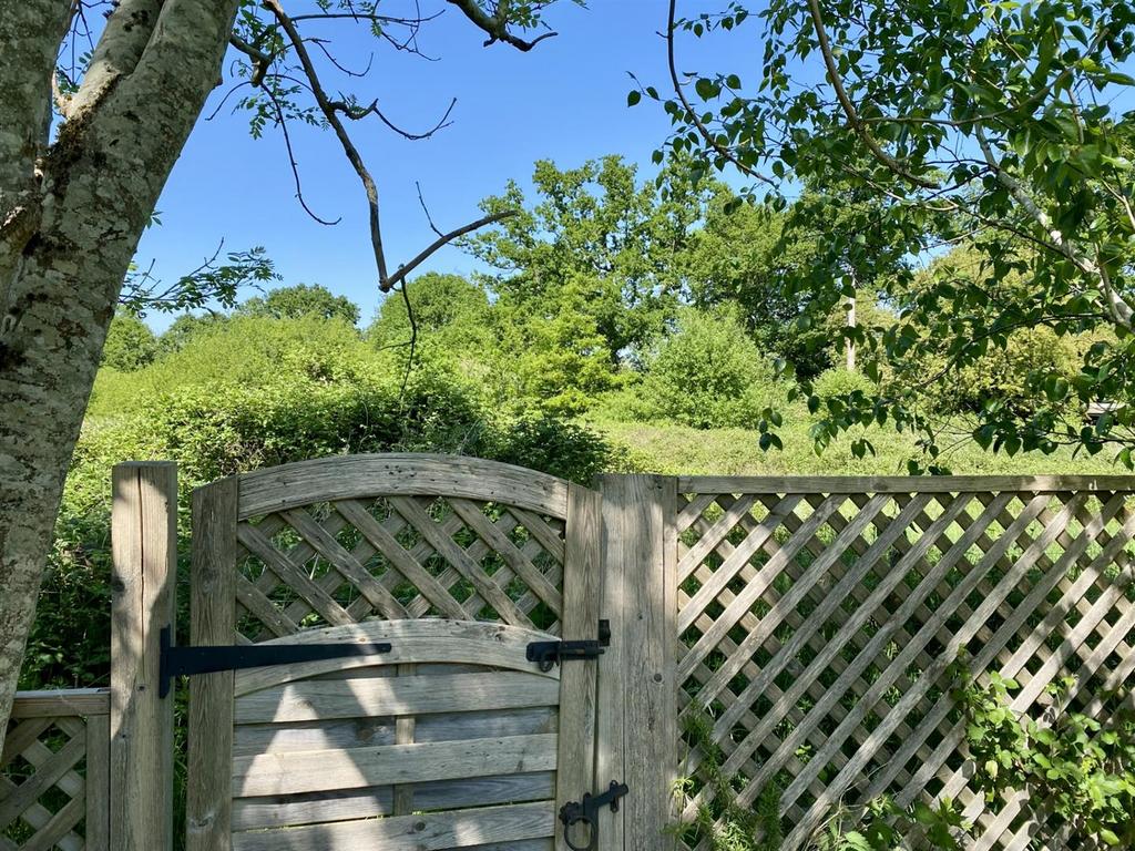 Rear Garden Views May 2025
