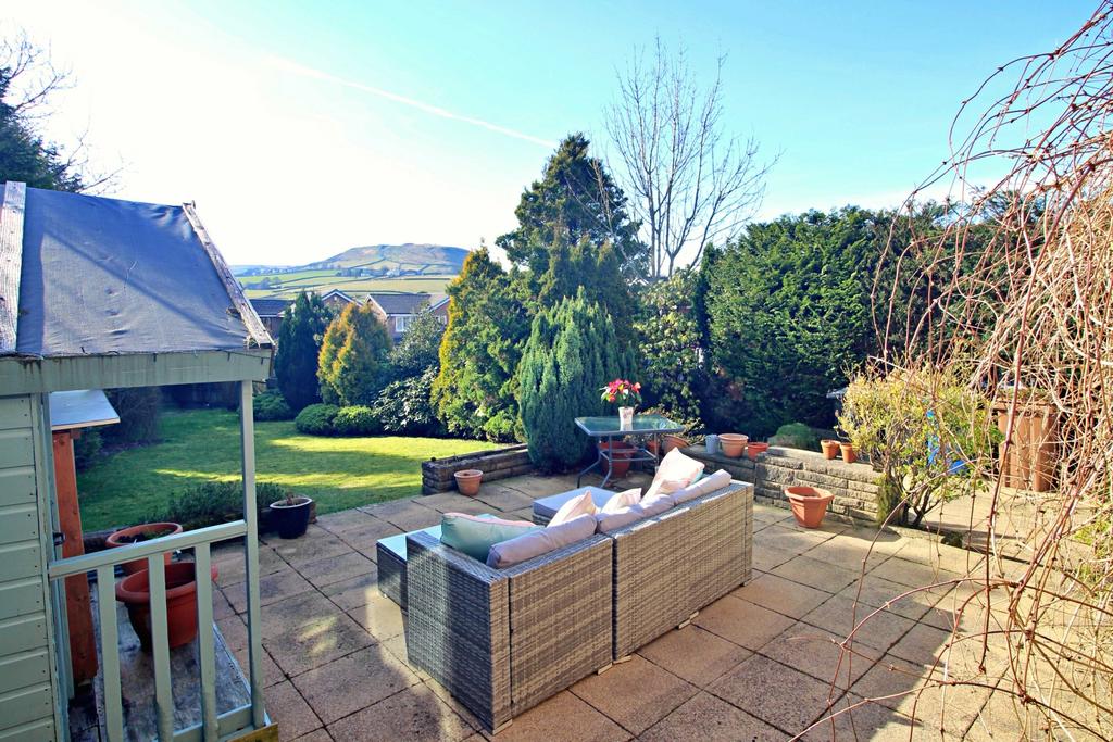 Rear Patio and View