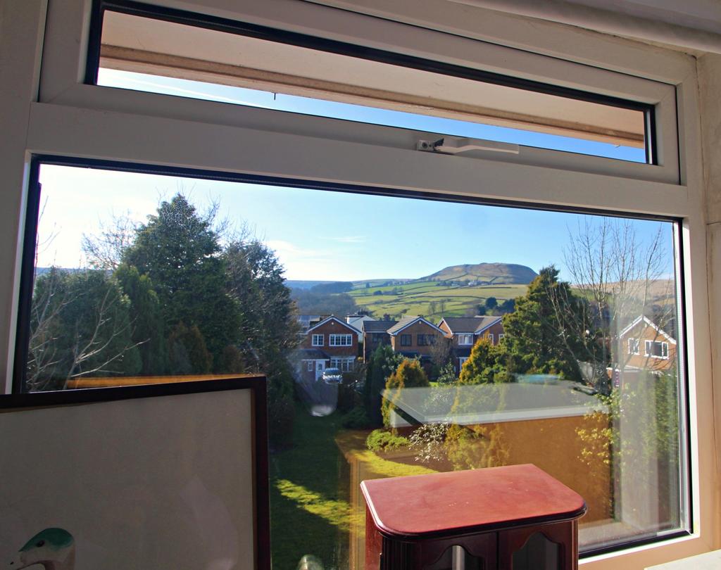 View from Bed 5