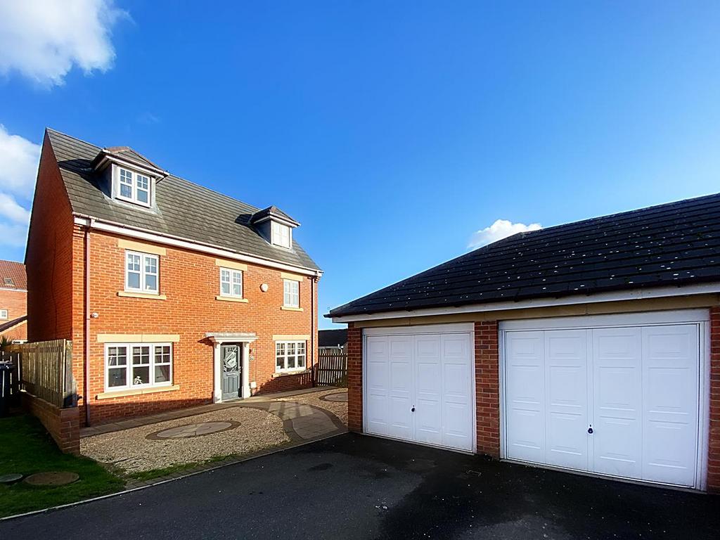 IMG 9408.jpg