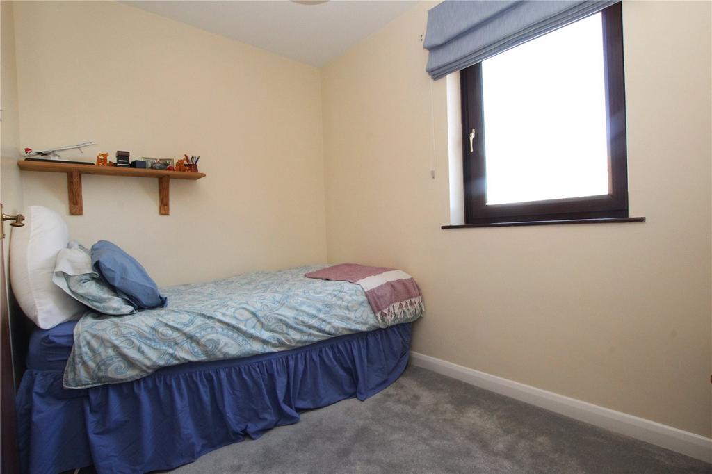 Picture 8